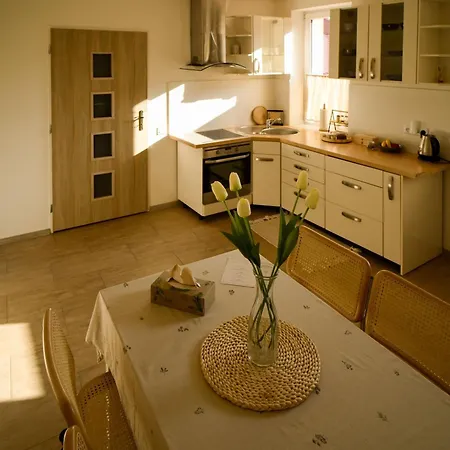 Sebuzín Apartman